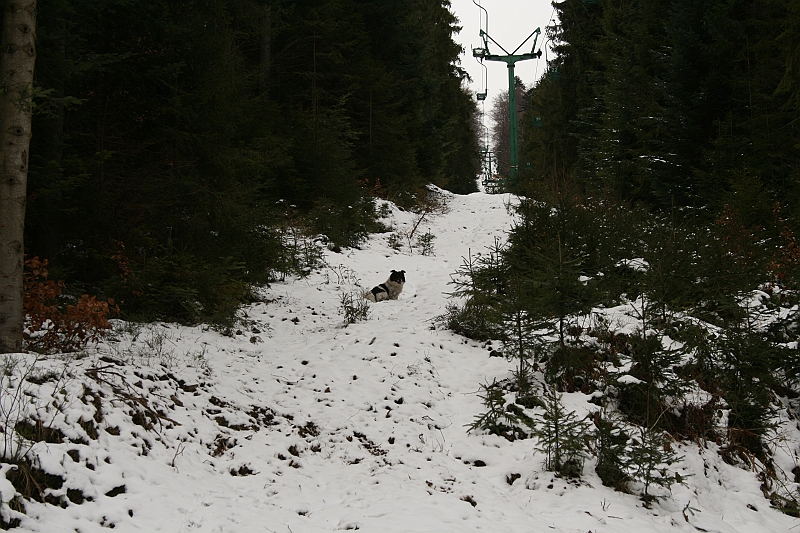 Turbacz 22.03.08 005